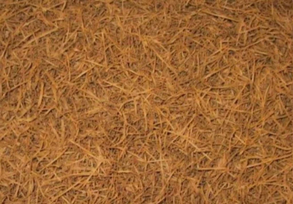Close-up of sheet-form tobacco texture and color